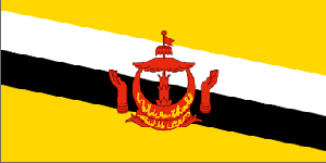 国旗