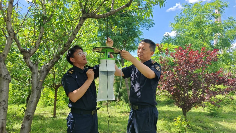 【津关发布】筑牢国家生物安全屏障 天津口岸去年截获外来物种3244种次