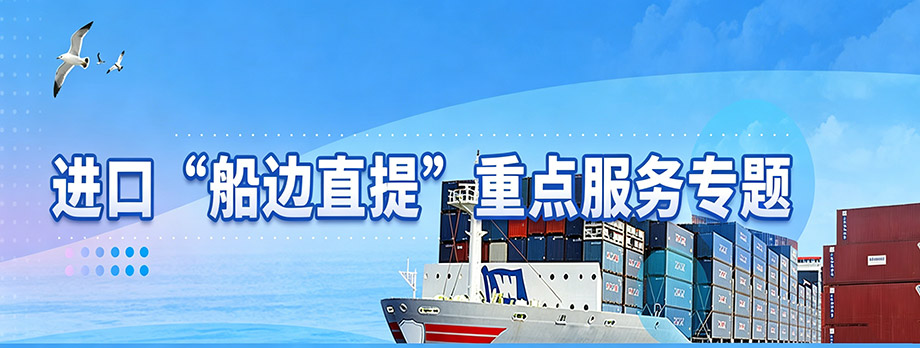 进口“船边直提”重点服务专题